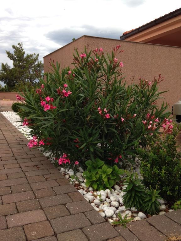 יאדראנובו Apartments Villa Antonia מראה חיצוני תמונה
